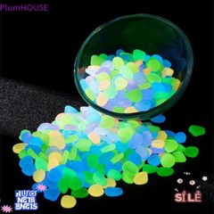 Viên Đá Phát Sáng Ban Đêm Plumhouse 100 Viên - Trang Trí Sân Vườn Hoàn Hảo!