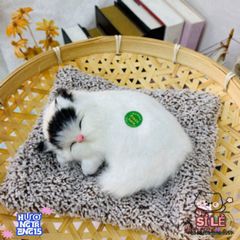 Túi Tã Lót Chuồng Cho Thú Cưng - Kháng Mùi Than Hoạt Tính, Thiết Kế Dễ Thương Cho Chó Mèo, Chất Liệu Êm Ái, Giữ Cho Không Gian Sạch Sẽ