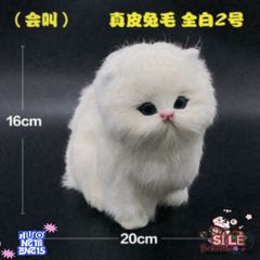 Túi Tã Lót Chuồng Cho Thú Cưng - Kháng Mùi Than Hoạt Tính, Thiết Kế Dễ Thương Cho Chó Mèo, Chất Liệu Êm Ái, Giữ Cho Không Gian Sạch Sẽ