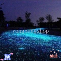 Túi Đá Dạ Quang Tự Nhiên - Trang Trí Bể Cá và Không Gian Sống - Hiệu Ứng Phát Quang Đẹp Mắt, An Toàn Cho Trẻ Nhỏ