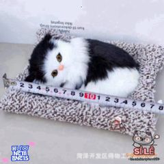 Thú Bông Chó Đốm Trắng-Đen Mẹ Con - Đồ Trang Trí Làm Sạch Không Khí & Khử Mùi Ô Tô, Quà Tặng Dễ Thương Cho Trẻ Em và Người Lớn