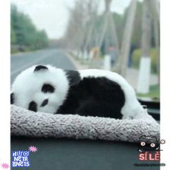 Thú Bông Chó Mèo Than Hoạt Tính - Trang Trí Ô Tô & Bàn Làm Việc, Khử Mùi Hiệu Quả và Dễ Thương cho Gia Đình Bạn
