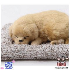 Thú Bông Chó Mèo Than Hoạt Tính - Trang Trí Ô Tô & Bàn Làm Việc, Khử Mùi Hiệu Quả và Dễ Thương cho Gia Đình Bạn