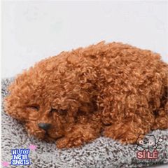 Thú Bông Chó Mèo Than Hoạt Tính - Trang Trí Ô Tô & Bàn Làm Việc, Khử Mùi Hiệu Quả và Dễ Thương cho Gia Đình Bạn