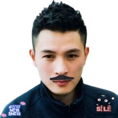 Bộ 12 Râu Cướp Biển Ả Rập - Phụ Kiện Hóa Trang Vui Nhộn Cho Tiệc Halloween, Lễ Hội, Biểu Diễn Nghệ Thuật