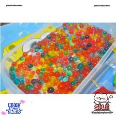 Bộ 250Gram Hạt Nở Đa Màu (20.000 hạt) - Trang Trí Cây Cảnh, Ngâm Nước Sáng Tạo, An Toàn Cho Môi Trường