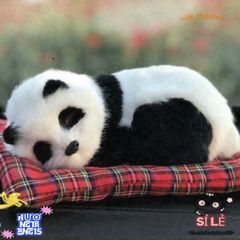 Gấu Bông Chó Poodle Nâu Khử Mùi - Thú Bông Lõi Than Hoạt Tính 28x20cm - Trang Trí Xe Hơi Và Nhà Cực Dễ Thương