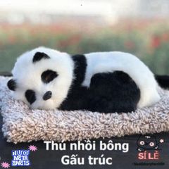 Thú Bông Lõi Than Hoạt Tính Khử Mùi - Trang Trí Taplo Ô Tô, Lọc Không Khí Cho Xu Hướng Sống Trong Lành