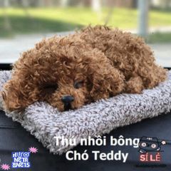 Thú Bông Lõi Than Hoạt Tính Khử Mùi - Trang Trí Taplo Ô Tô, Lọc Không Khí Cho Xu Hướng Sống Trong Lành
