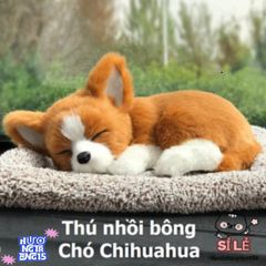 Thú Bông Lõi Than Hoạt Tính Khử Mùi - Trang Trí Taplo Ô Tô, Lọc Không Khí Cho Xu Hướng Sống Trong Lành