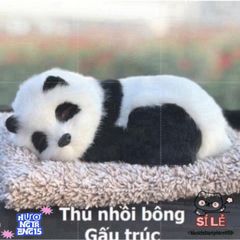 Gấu Bông Khử Mùi Xe Hơi - Thú Bông Than Hoạt Tính Trang Trí Ô Tô Phát Âm Thanh Dễ Thương, Đệm Thú Cưng Thiết Kế Độc Đáo