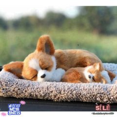 Gấu Bông Chó Mèo Than Hoạt Tính Trang Trí Ô Tô - Khử Mùi, Lọc Không Khí Dễ Thương, Kích Thước Đa Dạng Cho Thú Cưng