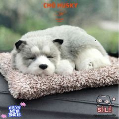 Gấu Bông Chó Mèo Than Hoạt Tính Trang Trí Ô Tô - Khử Mùi, Lọc Không Khí Dễ Thương, Kích Thước Đa Dạng Cho Thú Cưng