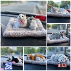 Cún và Mèo Than Hoạt Tính Khử Mùi - Trang Trí Taplo Xe Hơi Dễ Thương, An Toàn Cho Gia Đình - DV AUTO