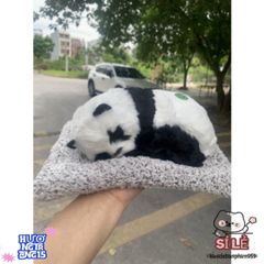 Thú Bông Khử Mùi Than Hoạt Tính - Decor Xe Hơi & Bàn Làm Việc Dễ Thương, Giải Pháp Sạch Không Khí An Toàn Cho Gia Đình