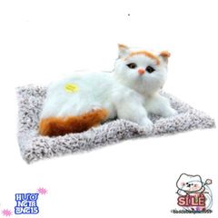 Gấu Bông Khử Mùi Than Hoạt Tính Cho Thú Cưng - Giải Pháp Sạch Không Khí Cho Nhà, Xe Hơi & Quà Tặng Dễ Thương
