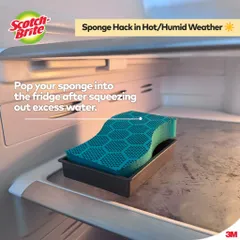 Bộ 3 túi miếng rửa chén 3M Scotch-Brite - Hạt mài siêu sạch, không bám bẩn, dễ dàng làm sạch dầu mỡ, kháng khuẩn, 2 miếng/túi