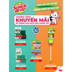 Combo 3 Miếng Cọ Rửa Chén 3M Scotch-Brite - Mút Hạt Mài Nổi Kháng Khuẩn, Chống Bám Bẩn, Dễ Dùng Trong Nhà Bếp