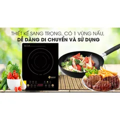 Bếp từ đơn ABER AB301