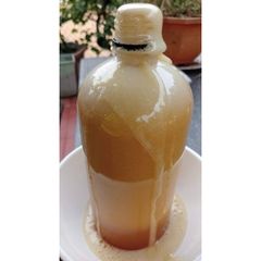 Mật Ong Rừng Nguyên Chất 100% - Sản Phẩm Tự Nhiên Kháng Viêm Đặc Biệt Từ Bình Định, Hỗ Trợ Tăng Cường Đề Kháng
