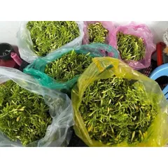 Mật Ngâm Hoa Đu Đủ Đực - Sản Phẩm Tự Nhiên Từ Thảo Dược, Thanh Lọc Cơ Thể Với Mật Ong Rừng Sâu, Hàng Tiêu Dùng Chất Lượng Cao