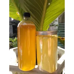 Tinh Bột Nghệ Nhà Làm - Tự Nhiên Chất Lượng Cao Giúp Trị Đau Bao Tử và Làm Đẹp Da - Thực Phẩm Sạch Từ Thiên Nhiên