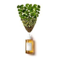 Tinh Chất Rau Má Skin1004 Madagascar Centella Ampoule 100ml - Giảm Mụn, Phục Hồi Da Nhạy Cảm, Dưỡng Ẩm Chất Lượng Cao Chính Hãng