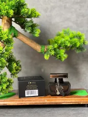 Nước Hoa Nữ Night By Delta Goodrem 30ml - Hương Nữ Tính Sang Trọng, Gợi Cảm, Cho Buổi Tối và Sự Kiện đặc biệt