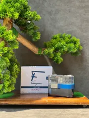 Nước Hoa Nam Salvatore Ferragamo F by Ferragamo Free Time EDT 30ml - Hương Tươi Mát, Năng Động, Phong Cách Thư Giãn