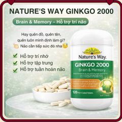 Viên Uống Bổ Não Nature’s Way Ginkgo Biloba 2000mg - Tăng Cường Trí Nhớ, Giảm Căng Thẳng, Hỗ Trợ Tuần Hoàn Não (Hộp 120 Viên)