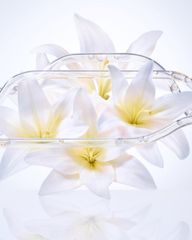 Kem Dưỡng Da Ban Ngày Cle De Peau Advanced Protective Day Cream - Dưỡng ẩm, Bảo vệ Da, Ngăn Ngừa Lão Hóa, Cho Làn Da Rạng Rỡ