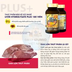 Viên Uống Hỗ Trợ Giải Độc Gan Liver Hydrolyzate Plus Nichiei 180 Viên - Bổ Gan, Tăng Cường Sức Khỏe, Chính Hãng Nhật Bản