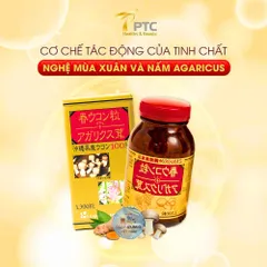 Viên Uống Tinh Chất Nghệ Nano Curcumin & Nấm Agaricus - Cải Thiện Dạ Dày, Hỗ Trợ Tiêu Hóa - Hộp 1300 Viên Chính Hãng Nhật Bản