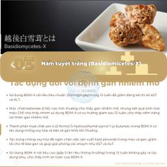 Viên NITASORA Soraicine - 60 Viên Tái Sinh Tế Bào Gan, Nhật Bản - Chương Trình Mua 6 Tặng 1, Hỗ Trợ Cải Thiện Chức Năng Gan