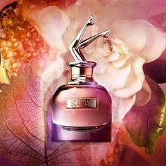 Nước Hoa Nữ Jean Paul Gaultier Scandal By Night EDP 80ml - Hương Thơm Quyến Rũ & Sang Trọng, Chính Hãng từ Pháp