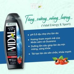 Sữa Tắm Gội 2 Trong 1 Vidal 500ml - Chiết Xuất Tự Nhiên Dưỡng Ẩm, Phục Hồi Da, Thân Thiện Môi Trường, Phù Hợp Với Mọi Loại Da