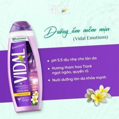 Sữa Tắm Gội 2 Trong 1 Vidal 500ml - Chiết Xuất Tự Nhiên Dưỡng Ẩm, Phục Hồi Da, Thân Thiện Môi Trường, Phù Hợp Với Mọi Loại Da