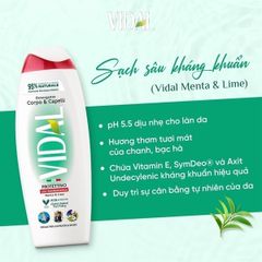 Sữa Tắm Gội 2 Trong 1 Vidal 500ml - Chiết Xuất Tự Nhiên Dưỡng Ẩm, Phục Hồi Da, Thân Thiện Môi Trường, Phù Hợp Với Mọi Loại Da