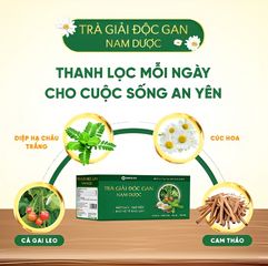Trà Giải Độc Gan Nam Dược - Hỗ Trợ Mát Gan, Tăng Cường Chức Năng Gan - Hộp 20 Túi Lọc 1.5g