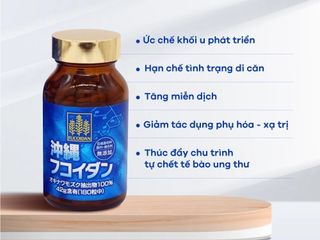 Tảo Fucoidan Okinawa Xanh Chính Hãng Nhật Bản - Hỗ Trợ U Bướu, Tăng Cường Miễn Dịch, 180 Viên viên nang sức khỏe