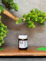 Viên uống bổ gan Blackmores Milk Thistle 42 viên - Hỗ trợ chức năng gan, cải thiện tiêu hóa, chiết xuất từ cây kế sữa hàng Úc