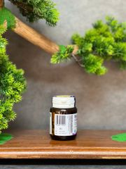 Viên Uống Bổ Não Blackmores Ginkgoforte 40 Viên - Hỗ Trợ Cải Thiện Trí Nhớ và Tăng Cường Chức Năng Nhận Thức