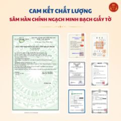 Nước Hồng Sâm Hàn Quốc Cao Cấp Daedong - Chiết Xuất Premium 30 Gói x 10ml, Bổ Sung Sức Khỏe và Năng Lượng Hàng Ngày