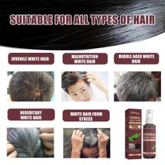 Dầu Gội Xịt Tóc Đen Vĩnh Viễn Hà Thủ Ô - Giải Pháp Chăm Sóc Tóc từ Thảo Mộc, Giúp Mọc Tóc Khỏe Mạnh & Bóng Đẹp tự nhiên
