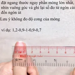 Nailbox thiết kế cao cấp, móng úp nail box thiết kế móng tay giả phong cách Hàn Quốc nhà Tú Quyên Beauty