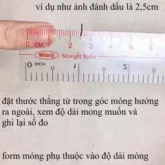 Nailbox thiết kế cao cấp, móng úp nail box thiết kế móng tay giả phong cách Hàn Quốc nhà Tú Quyên Beauty