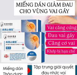 Hộp 4 Miếng Dán Giảm Đau Xương Khớp Vai Gáy - Dán  Đau Nhức, Thư Giãn Cơ Bắp Hiệu Quả