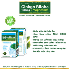 Viên Uống Bổ Não Vitaday Ginkgo Biloba 120mg + Magnesium - Hỗ Trợ Tăng Cường Trí Nhớ và Giảm Căng Thẳng (Combo 3 Hộp x 30 Viên)