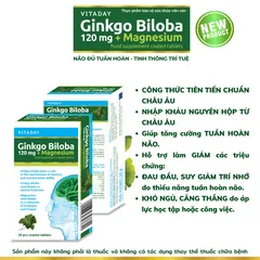 Viên uống bổ não Vitaday Ginkgo Biloba 120mg + Magnesium - Hỗ trợ trí nhớ và giảm căng thẳng - Hộp 30 viên nhập khẩu