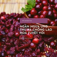 Nam Việt Quất Sấy Khô Ocean Spray Craisins 1.8kg - Quả Mạn Việt Quất Dinh Dưỡng, Ăn Vặt Ngon Miệng, Tăng Cường Miễn Dịch